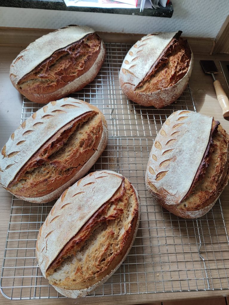 Weizenmischbrot